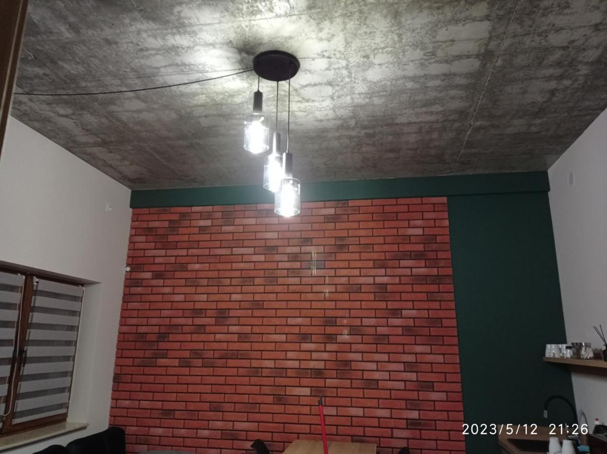 Loft Park Zator, Lokalizacja Przy Wej Parkuヴィラ エクステリア 写真