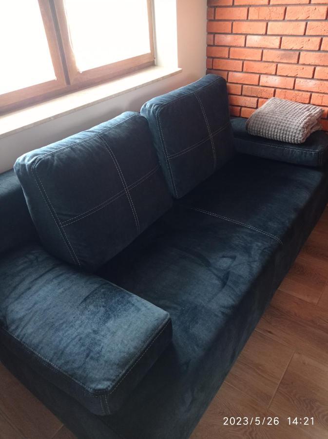 Loft Park Zator, Lokalizacja Przy Wej Parkuヴィラ エクステリア 写真